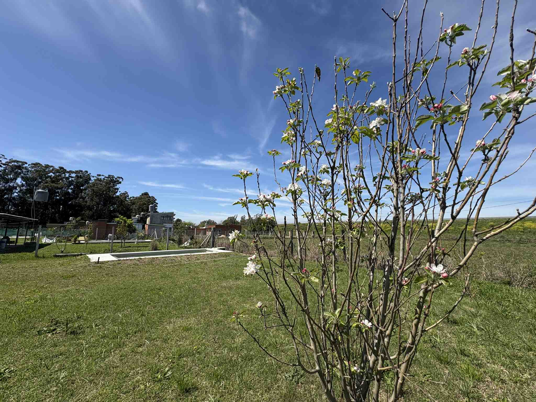 Quinta en Venta en Zárate ( )
