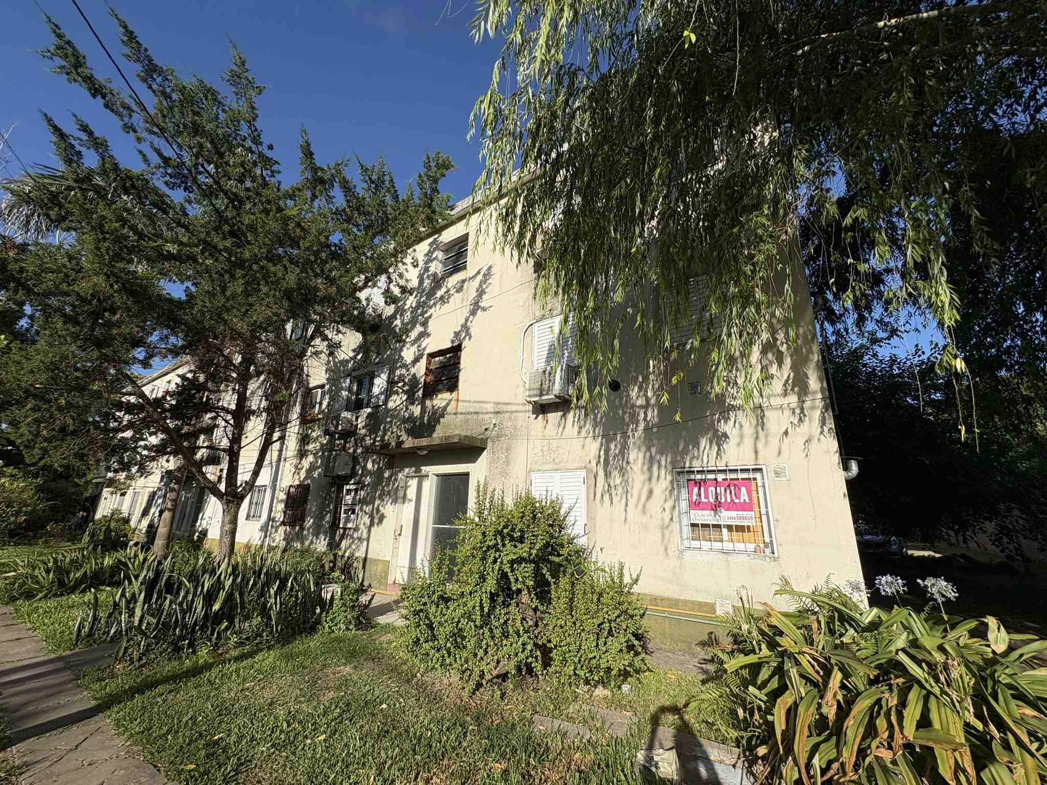 Departamento en Alquiler en Campana (Moreno  668 PB )