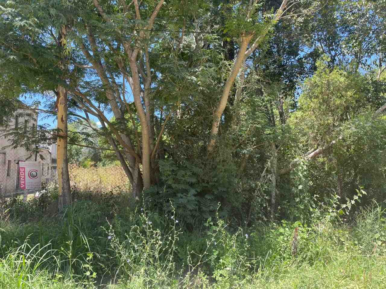 PARQUE NATURA, TERRENO EN VENTA